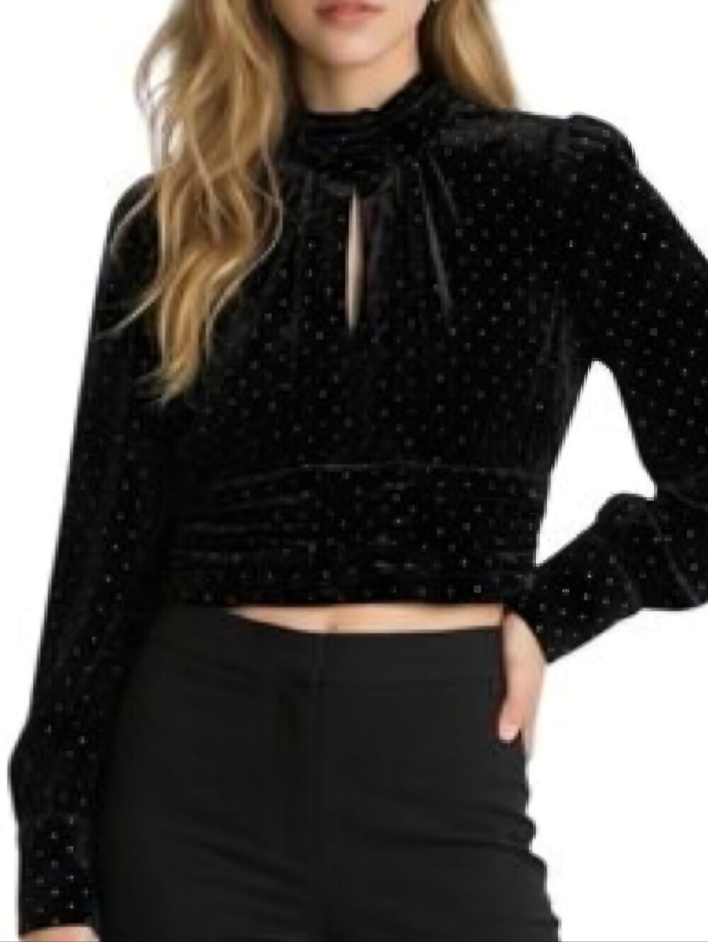 Zara Women Velvet Crop Long Sleeve Sparkle Top Size L High Neck Puff Sleeve